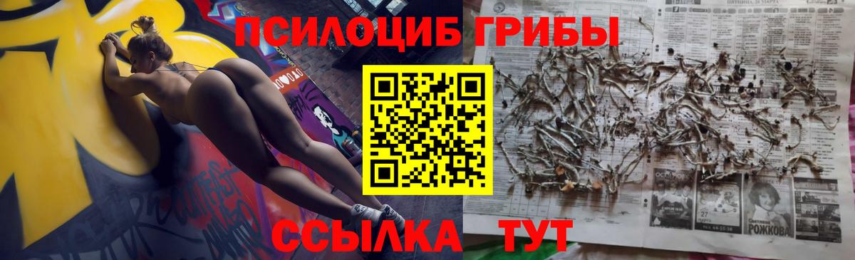 Псилоцибиновые грибы Psilocybine cubensis Верхний Уфалей