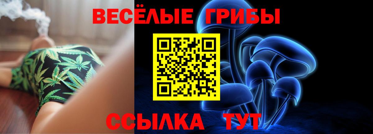 Галлюциногенные грибы прущие грибы  Вход с VPN  купить   Верхний Уфалей  Псилоцибиновые грибы Psilocybine cubensis 